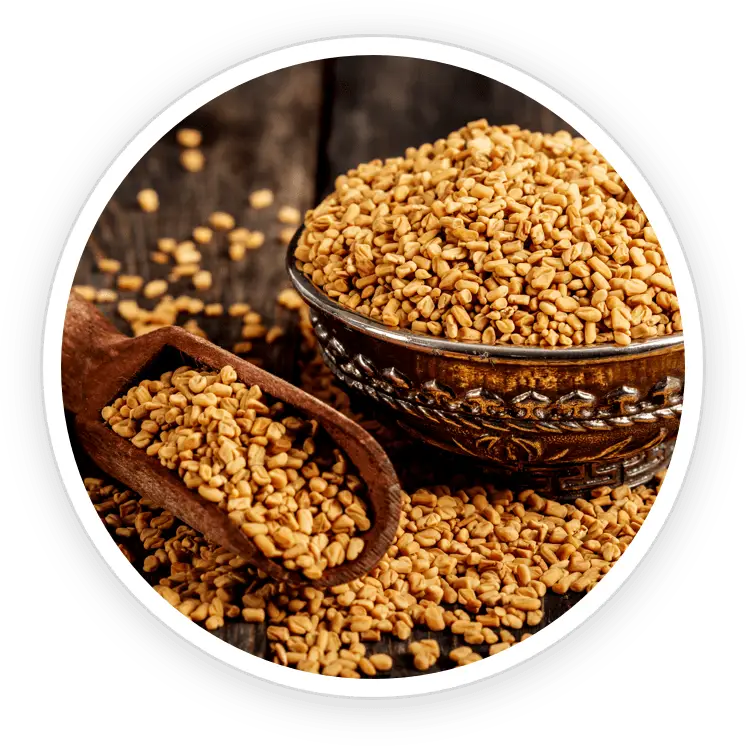 PrimeBiome ingredient Fenugreek digestive wellness herb